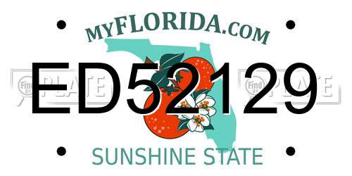 ED52129 Florida License Plate