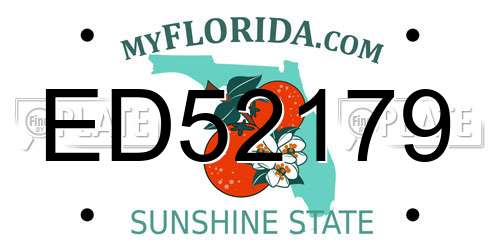 ED52179 Florida License Plate