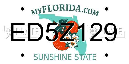 ED5Z129 Florida License Plate
