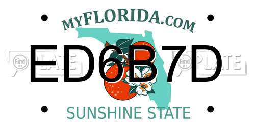 ED6B7D Florida License Plate