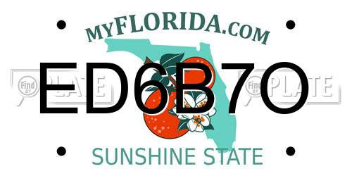 ED6B7O Florida License Plate