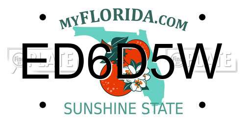 ED6D5W Florida License Plate