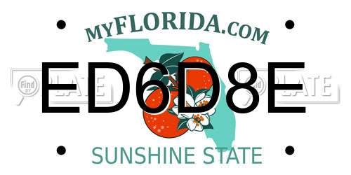 ED6D8E Florida License Plate