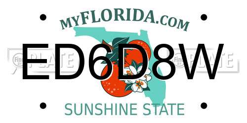 ED6D8W Florida License Plate