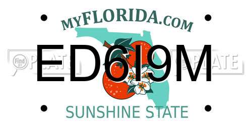 ED6I9M Florida License Plate