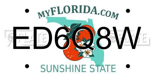 ED6Q8W Florida License Plate