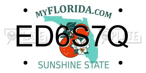 ED6S7Q Florida License Plate