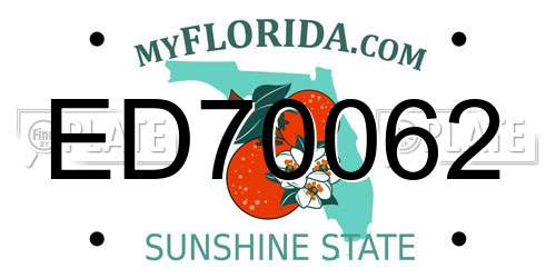 ED70062 Florida License Plate