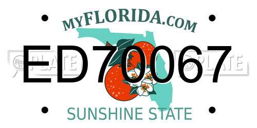 ED70067 Florida License Plate