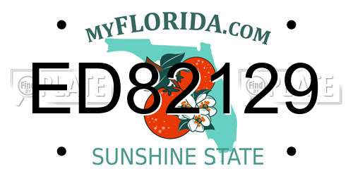ED82129 Florida License Plate