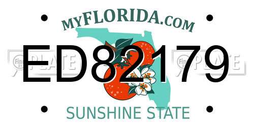 ED82179 Florida License Plate