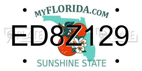 ED8Z129 Florida License Plate