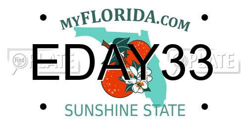 EDAY33 Florida License Plate