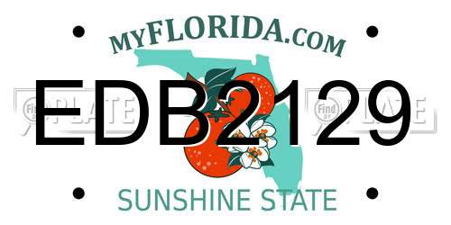 EDB2129 Florida License Plate