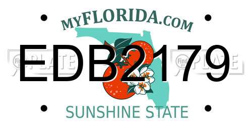 EDB2179 Florida License Plate