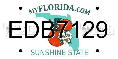 EDB7129 Florida License Plate