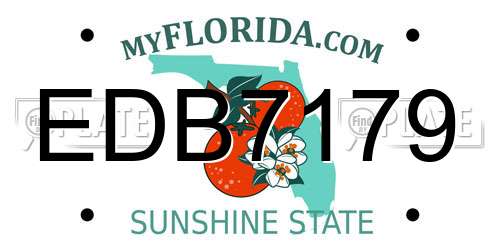 EDB7179 Florida License Plate