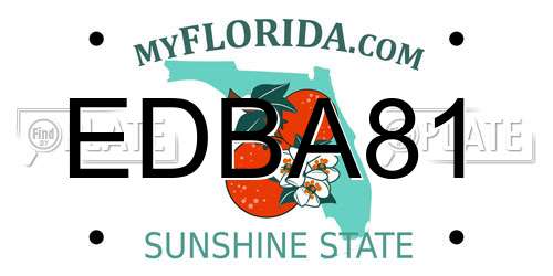 EDBA81 Florida License Plate