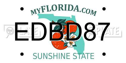 EDBD87 Florida License Plate