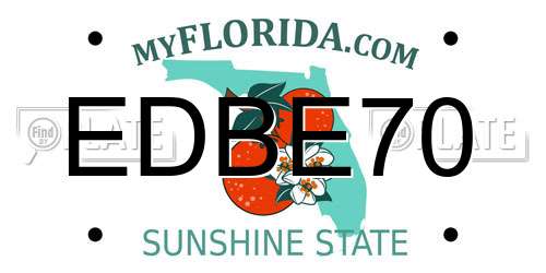 EDBE70 Florida License Plate