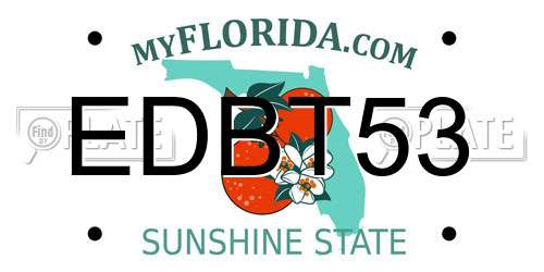 EDBT53 Florida License Plate