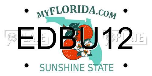 EDBU12 Florida License Plate