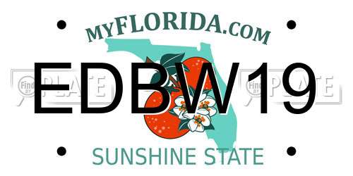 EDBW19 Florida License Plate