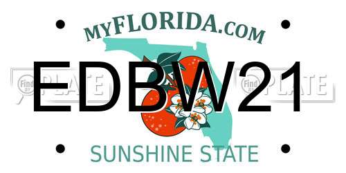 EDBW21 Florida License Plate