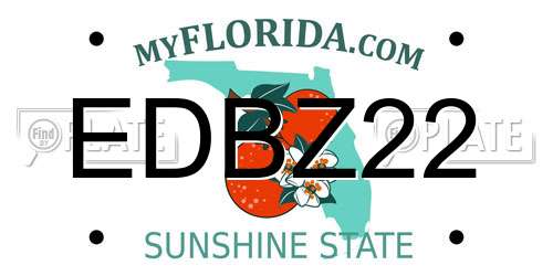 EDBZ22 Florida License Plate