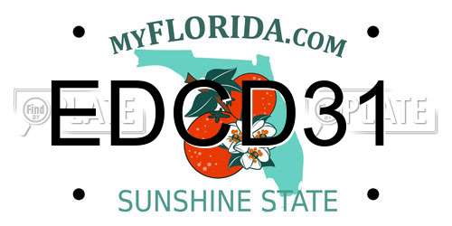 EDCD31 Florida License Plate