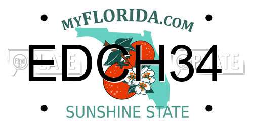 EDCH34 Florida License Plate