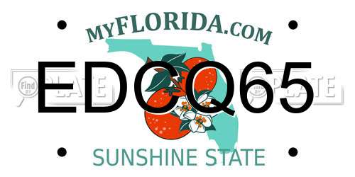 EDCQ65 Florida License Plate