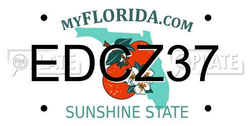 EDCZ37 Florida License Plate