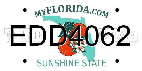 EDD4062 Florida License Plate