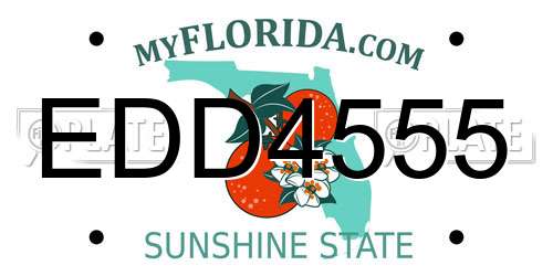 EDD4555 Florida License Plate