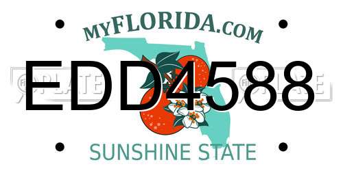 EDD4588 Florida License Plate