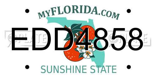 EDD4858 Florida License Plate