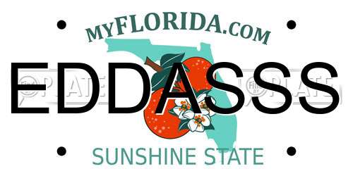 EDDASSS Florida License Plate