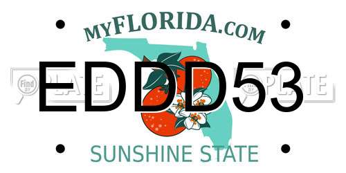 EDDD53 Florida License Plate