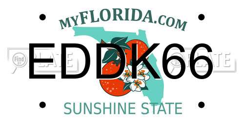 EDDK66 Florida License Plate
