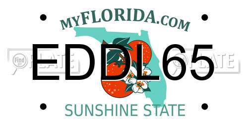EDDL65 Florida License Plate