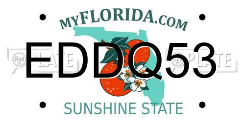 EDDQ53 Florida License Plate