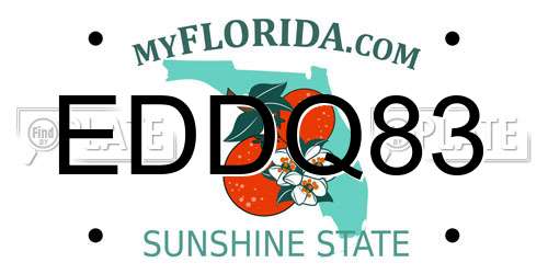 EDDQ83 Florida License Plate