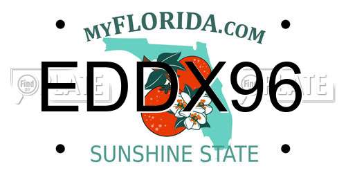 EDDX96 Florida License Plate