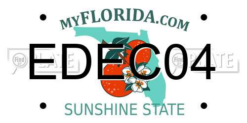 EDEC04 Florida License Plate