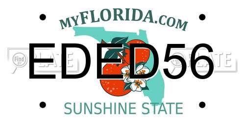 EDED56 Florida License Plate