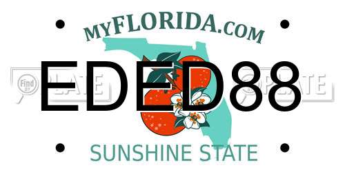 EDED88 Florida License Plate