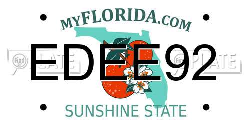 EDEE92 Florida License Plate