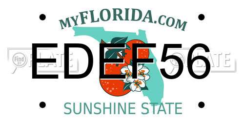 EDEF56 Florida License Plate