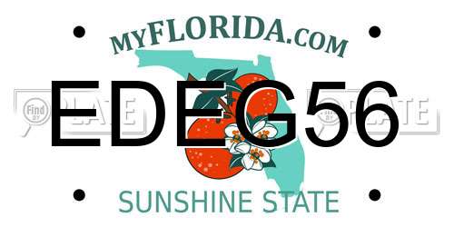 EDEG56 Florida License Plate